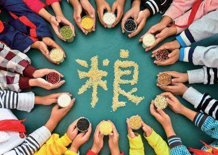 輸送帶廠家：第40個(gè)世界糧食日，食品安全很重要